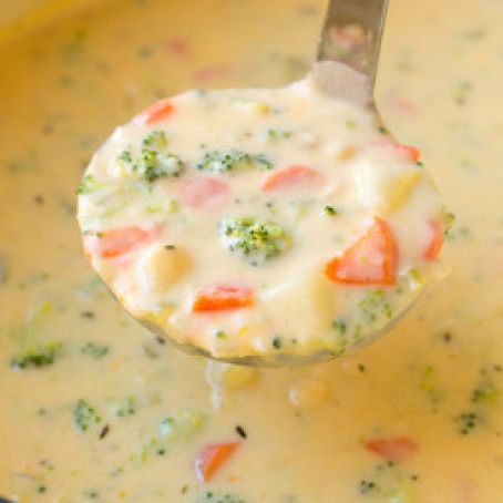 Cheesy Vegetable Soup