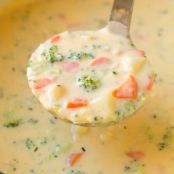 Cheesy Vegetable Soup