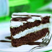 Mint Chocolate Double Layer Cake