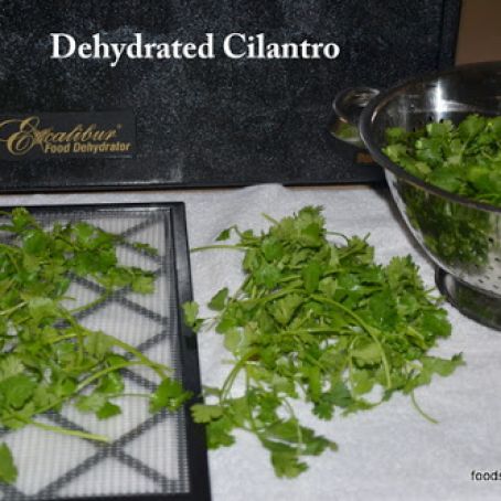 Dehydrated Cilantro