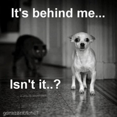 Discounts for seniors