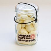 Garbage Disposal Refreshers