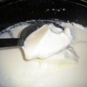 Home made Yogurt (Greek Style)