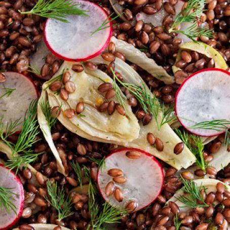 Black Barley, Fennel, and Radish Salad