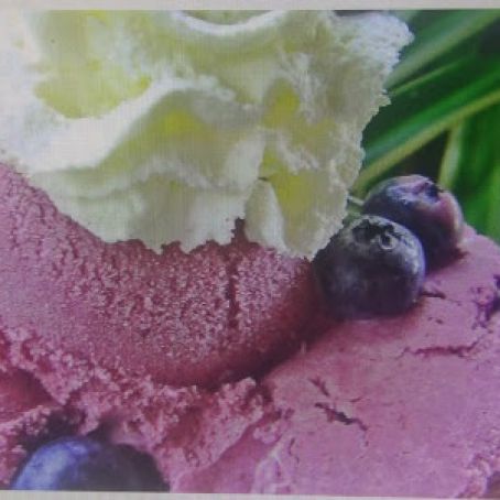 BLUEBERRIES AND CREAM ICE CREAM