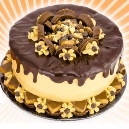 Chocolate Peanut Butter Cake