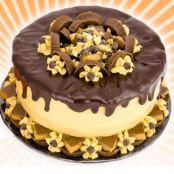 Chocolate Peanut Butter Cake