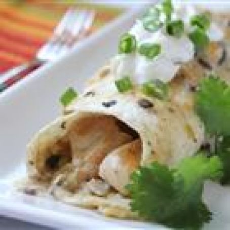 Creamy Chicken Enchiladas II