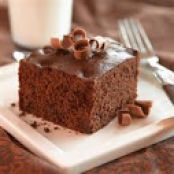 Double Fudge Snack Cake