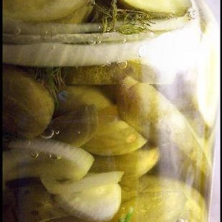 So I Cheated Refrigerator Dills