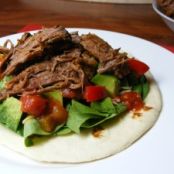 Mexican Shredded Beef