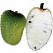 Soursop Special