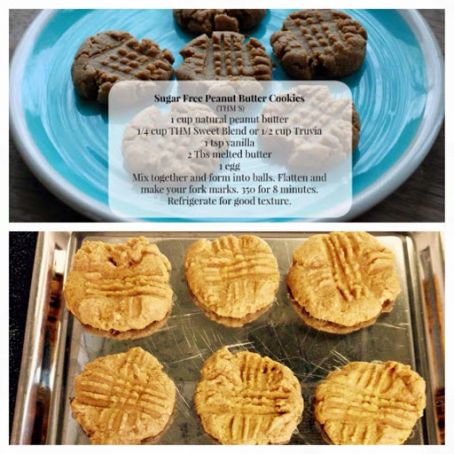Sugar Free Peanut Butter Cookies