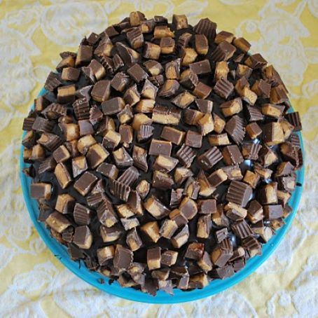 Peanut Butter Chocolate Cake