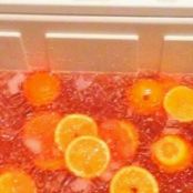 Adult Trash Can punch