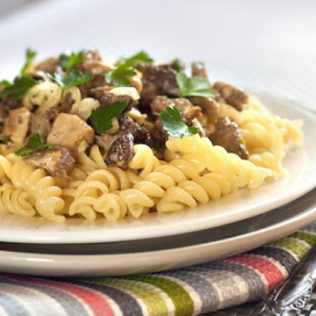 Mixed Mushrooms Pasta Stroganoff