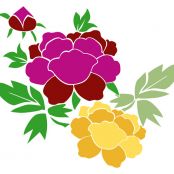 Broccoli Cheese Soup