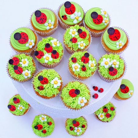 Ladybug and Flower Cupcakes
