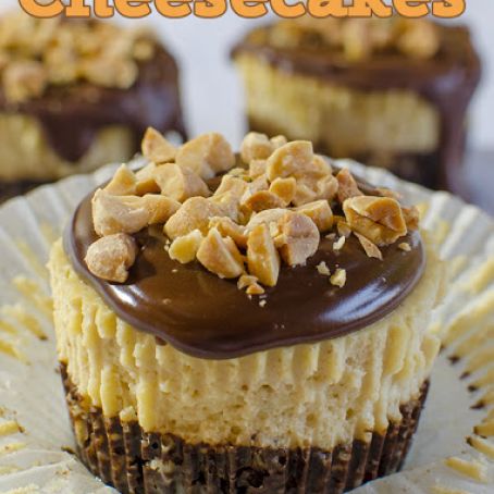 Mini Chocolate Peanut Butter Cheesecakes