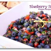 Blueberry Salsa