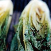 GRILLED CAESAR SALAD