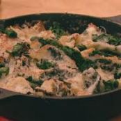 Broken Florentine Lasagna Bake