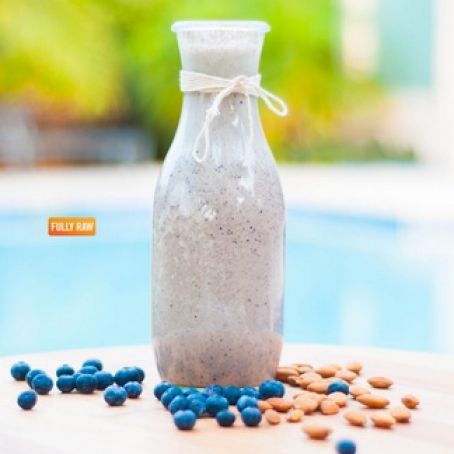 Blueberry Milkshake - fully raw