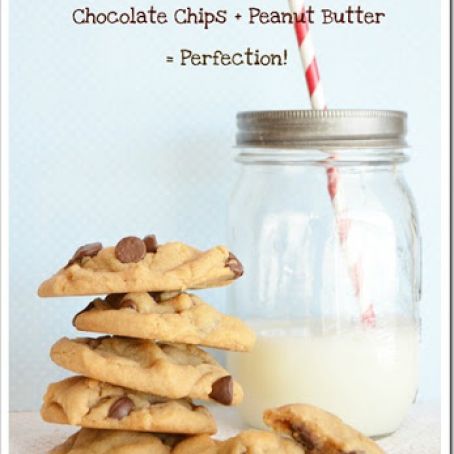 Peanut Butter Chocolate Chip Cookie Recipe