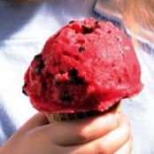 Raspberry-Chocolate Chip Frozen Yogurt