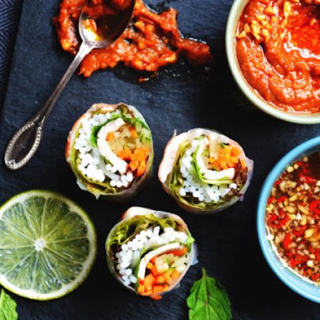 Vietnamese Fresh Spring Rolls (Gỏi cuốn)