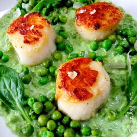Seared Scallops with Pea Puree