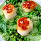 Seared Scallops with Pea Puree