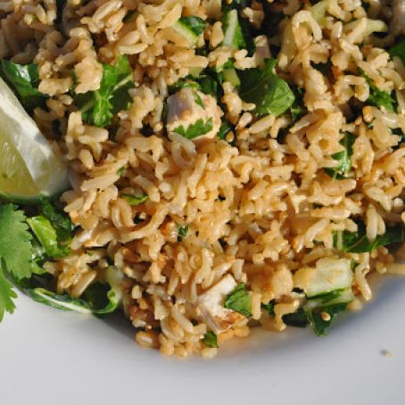 BREAST - Actifry Chicken and Brown Rice
