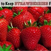 How To Keep Your Strawberries Fresh Longer