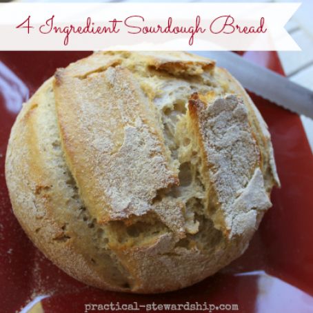 Sourdough Bread