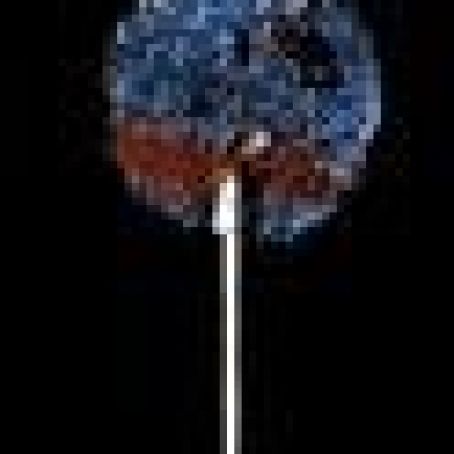 Fisherman's Friend and Nibs Lollipop