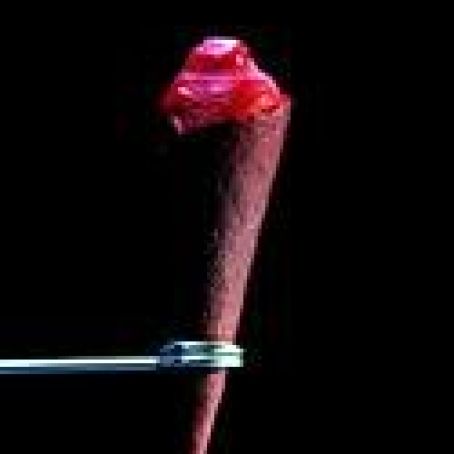 Raspberry Sorbet and Raspberry Cornet