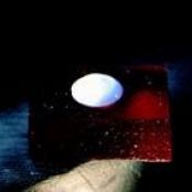 Filled Pâté De Fruits