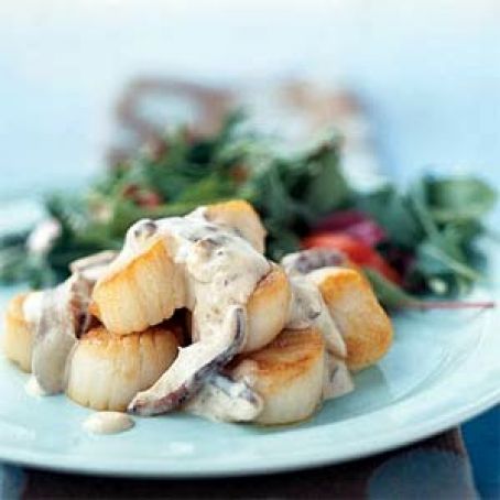 Scallops in Champagne Sauce