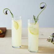 Lemon Lavender Gin Rickey