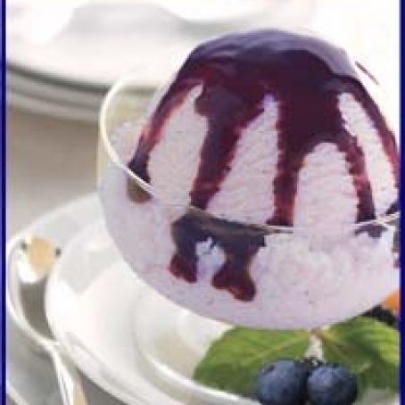 Vitamix:  Blueberry Ice Cream