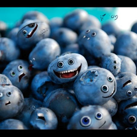 HOMEMADE BLUEBERRY LIQUOR RECIPE