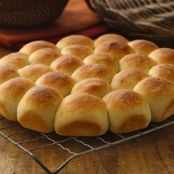 Homemade Pan Rolls