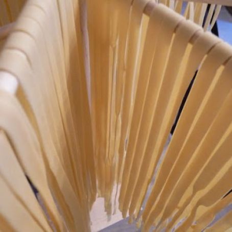 DOUGH - Basic Bread Machine Pasta Dough - 8 Points