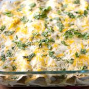 CHICKEN ENCHILADAS WITH GREEN CHILI SOUR CREAM SAUCE
