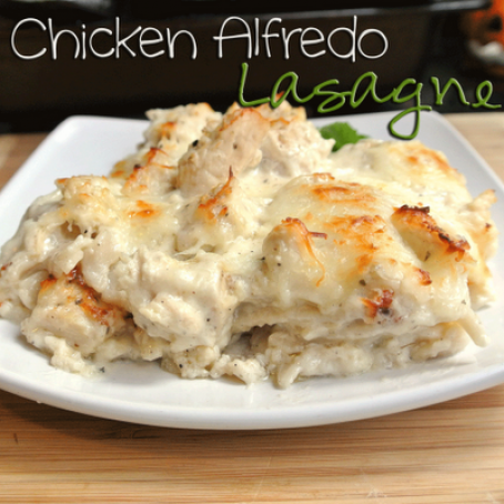 Chicken Alfredo Lasagne