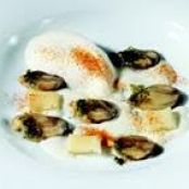 Soused Rock Mussels with Garlic Ravioli
