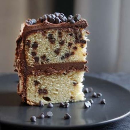 Chocolate chip cake recipe | 100th blog post!