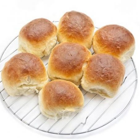 Dinner Rolls