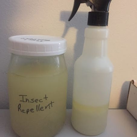 Insect Repellent - Homemade